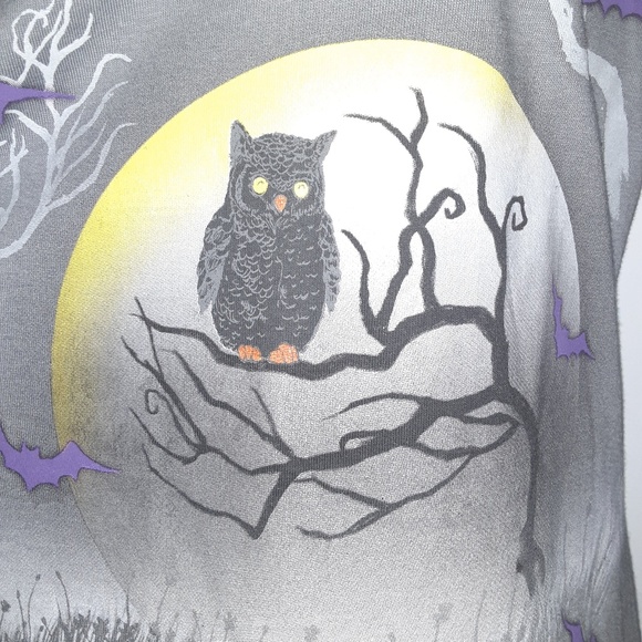 HALLOWEEN SHIRT - LONG SLEVE - OWL - GLOWS in DARK - Picture 4 of 8